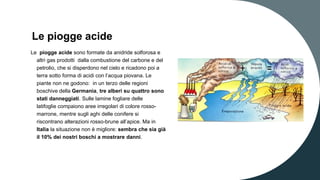 Le piogge acide
Le piogge acide sono formate da anidride solforosa e
altri gas prodotti dalla combustione del carbone e del
petrolio, che si disperdono nel cielo e ricadono poi a
terra sotto forma di acidi con l’acqua piovana. Le
piante non ne godono: in un terzo delle regioni
boschive della Germania, tre alberi su quattro sono
stati danneggiati. Sulle lamine fogliare delle
latifoglie compaiono aree irregolari di colore rosso-
marrone, mentre sugli aghi delle conifere si
riscontrano alterazioni rosso-brune all’apice. Ma in
Italia la situazione non è migliore: sembra che sia già
il 10% dei nostri boschi a mostrare danni.
 