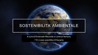 SOSTENIBILITA’ AMBIENTALE
A cura di Emanuele Macciola e Lorenzo Norscia,
1°E | Liceo scientifico D’Ascanio
 