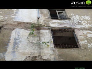 carniceros naturaleza 