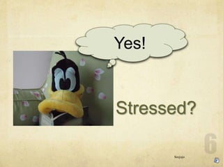 Stressed?
Yes!
Seejojo
 