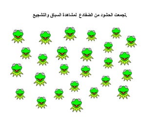 تجمعت الحشود من الضفادع  لمشاهدة السباق والتشجيع  . 