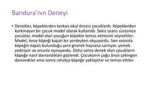 Bandura’nın Deneyi
• Denekler, köpeklerden korkan okul öncesi çocuklardı. Köpeklerden
korkmayan bir çocuk model olarak kullanıldı. Sekiz seans süresince
çocuklar, model olan çocuğun köpekle temas etmesini seyrettiler.
Model, önce köpeği kapalı bir yerdeyken okşuyordu. Son seansta
köpeğin kapalı bulunduğu yere girerek hayvana sarılıyor, yemek
yediriyor ve onunla oynuyordu. Daha sonra denek olan çocukların
köpeğe nasıl davrandıkları gözlendi. Çocukların çoğu önce çekingen
davrandılar ama sonra rahatça köpeğe yaklaştılar ve temas ettiler.
 