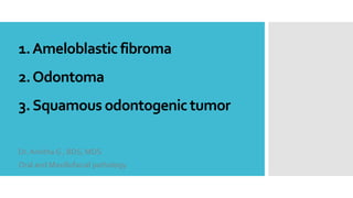 1.Ameloblastic fibroma
2.Odontoma
3.Squamous odontogenic tumor
Dr. Amitha G , BDS, MDS
Oral and Maxillofacial pathology
 