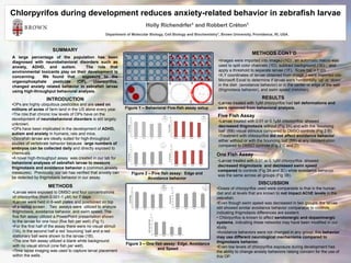 Chlorpyrifos during development reduces anxiety-related behavior in zebrafish larvae
                                                                            Holly    Richendrfer1       and Robbert        Créton1

                                                      Department of Molecular Biology, Cell Biology and Biochemistry1, Brown University, Providence, RI, USA.



                       SUMMARY
                                                                                                                                        METHODS CONT’D
A large percentage of the population has been
diagnosed with neurobehavioral disorders such as                                                                     •Images were imported into ImageJ (1C) , an automatic macro was
anxiety, ADHD, and autism.           The role that                                                                   used to split color channels (1D), subtract background (1E) , and
environmental toxicants play on their development is                                                                 apply a threshold to separate larvae (1F). Scale bar = 1 cm
concerning.    We found that       exposure to the                                                                   •X,Y coordinates of larvae obtained from Image J were imported into
organophosphate     pesticide   (OP),   chlorpyrifos,                                                                Microsoft Excel to determine if larvae were horizontally ‘up’ or ‘down’
changed anxiety related behavior in zebrafish larvae                                                                 in the dish (avoidance behavior) or in the center or edge of the well
using high-throughput behavioral analysis.                                                                           (thigmotaxis behavior), and swim speed (mm/min).

                   INTRODUCTION                                                                                                               RESULTS
•OPs are highly ubiquitous pesticides and are used on                                                                •Larvae treated with 1µM chlorpyrifos had tail deformations and
millions of acres of farm land in the US alone every year.      Figure 1 – Behavioral Five-fish assay setup          were removed from behavioral analysis.
•The role that chronic low levels of OPs have on the                                                                 Five Fish Assay
development of neurobehavioral disorders is still largely
                                                                                                                     •Larvae treated with 0.01 or 0.1µM chlorpyrifos showed
unknown.
                                                                                                                     decreased thigmotaxis without (Fig 2A) and with the ‘bouncing
•OPs have been implicated in the development of ADHD,
                                                                                                                     ball’ (BB) visual stimulus compared to DMSO controls (Fig 2 B).
autism and anxiety in humans, rats and mice.
                                                                                                                     •Treatment with chlorpyrifos did not affect avoidance behavior
•Zebrafish larvae are ideally suited for high-throughput
                                                                                                                     either without or with the bouncing ball (BB) at any concentration
studies of vertebrate behavior because large numbers of
                                                                                                                     compared to DMSO controls (Fig 2 C and D).
embryos can be collected daily and directly exposed to
chemicals.                                                                                                          One Fish Assay
•A novel high-throughput assay was created in our lab for
                                                                                                                     •Larvae treated with 0.01 or 0.1µM chlorpyrifos showed
behavioral analyses of zebrafish larvae to measure
                                                                                                                     decreased thigmotaxis and decreased swim speed
thigmotaxis and avoidance behavior a (common anxiety
                                                                                                                     compared to controls (Fig 3A and 3C) while avoidance behavior
measures). Previously, our lab has verified that anxiety can        Figure 2 – Five fish assay: Edge and
                                                                                                                     was the same across all groups (Fig 3B).
be detected by thigmotaxis behavior in our assay.                           Avoidance behavior
                                                                                                                                           DISCUSSION
                    METHODS                                                                                         •Doses of chlorpyrifos used were comparable to that in the human
•Larvae were exposed to DMSO and four concentrations                                                                diet and at levels that are known to not impact AChE levels in the
of chlorpyrifos (from 0.001-1 µM) for 7 days.                                                                       zebrafish.
•Larvae were held in 6-well plates and positioned on top                                                            •Even though swim speed was decreased in two groups, the larvae
of a laptop screen . Two assays were utilized to analyze                                                            still showed similar avoidance behavior comparable to controls,
thigmotaxis, avoidance behavior, and swim speed. The                                                                indicating thigmotaxis differences are existent.
five fish assay utilized a PowerPoint presentation shown                                                            • Chlorpyrifos is known to affect serotonergic and dopaminergic
to the larvae for one hour (five fish per well) (Fig 1).                                                            systems, indicating these networks may have been modified in our
•For the first half of the assay there were no visual stimuli                                                       study.
(1A), in the second half a red ‘bouncing’ ball and a red                                                            •Avoidance behaviors were not changed in any group; this behavior
stationary ball were shown to the larvae (1B).                                                                      may use different neurological mechanisms compared to
•The one fish assay utilized a blank white background                                                               thigmotaxis behavior.
with no visual stimuli (one fish per well).                      Figure 3 – One fish assay: Edge, Avoidance
                                                                                  and Speed                         •Even low levels of chlorpyrifos exposure during development has
•Time lapse imaging was used to capture larval placement                                                            the ability to change anxiety behaviors raising concern for the use of
within the wells .                                                                                                  this OP.
 