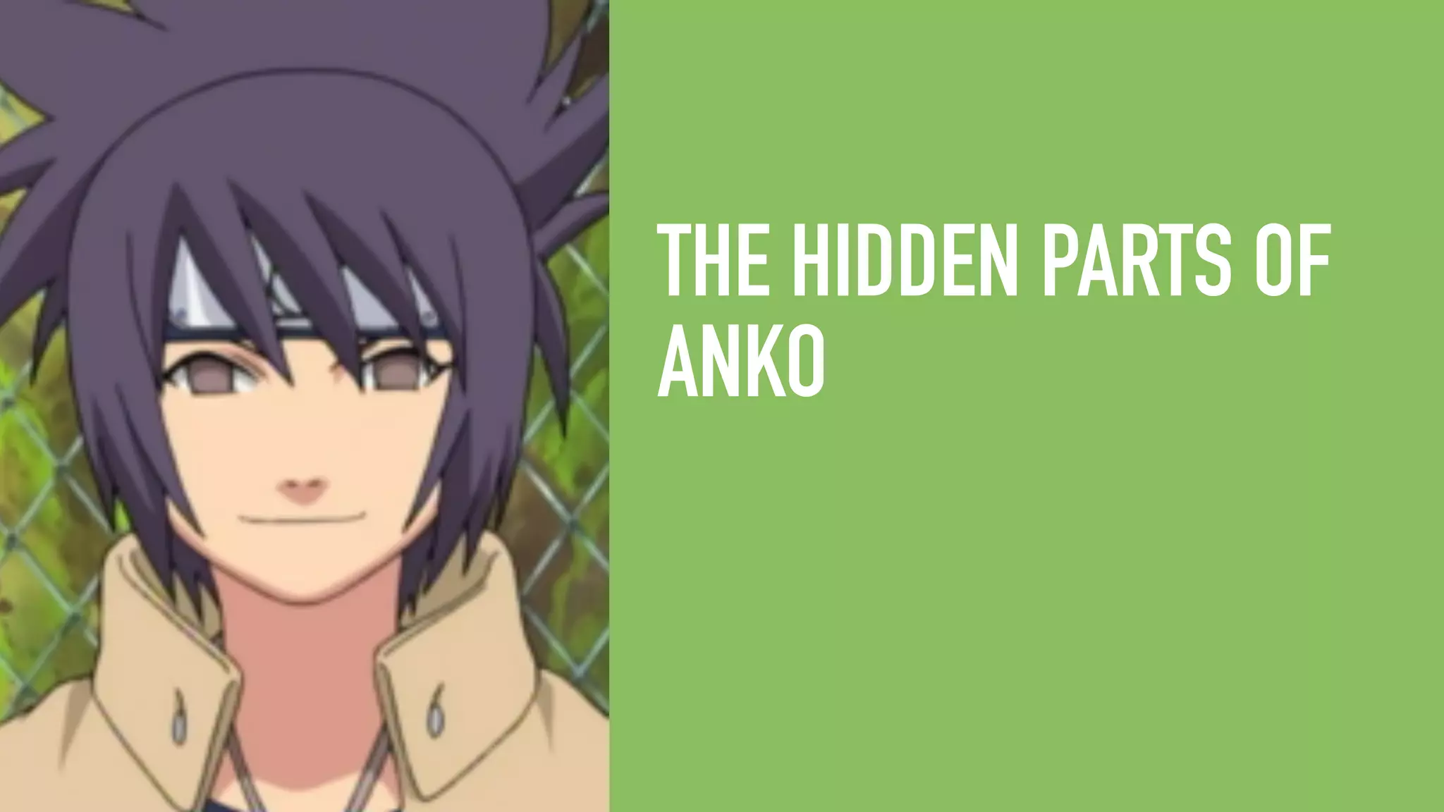 THE HIDDEN PARTS OF ANKO 