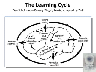 The Learning Cycle
David Kolb from Dewey, Piaget, Lewin, adapted by Zull
 