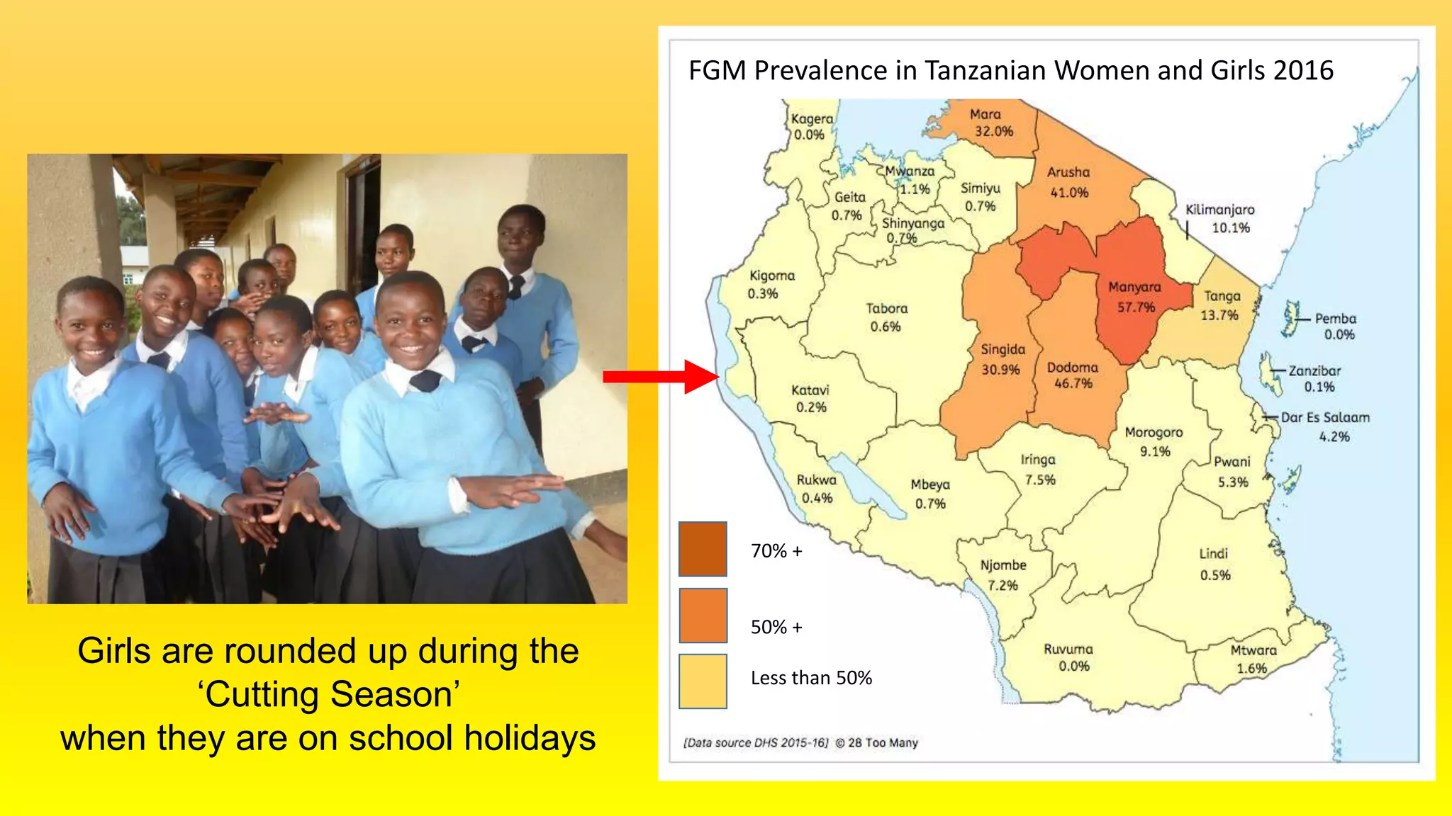 Girls are rounded up during the
‘Cutting Season’
when they are on school holidays
70% +
50% +
Less than 50%
FGM Prevalence in Tanzanian Women and Girls 2016
 