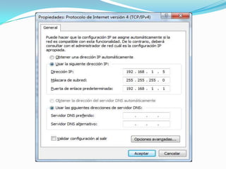 Soto  Quevedo  Jefferson  Andres