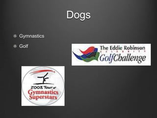 Dogs
Gymnastics
Golf

 