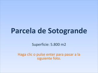 Parcela de Sotogrande Superficie: 5.800 m2 Haga clic o pulse enter para pasar a la siguiente foto. 
