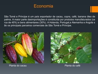 Economia
São Tomé e Príncipe é um país exportador de cacau, copra, café, banana óleo de
palma. A maior parte dasimportações é constituída por produtos manufaturados (ce
rca de 45%) e bens alimentares (30%). A Holanda, Portugal,a Alemanha e Angola s
ão os principais parceiros comerciais de São Tomé e Príncipe.
Planta do cacau Planta do café
 