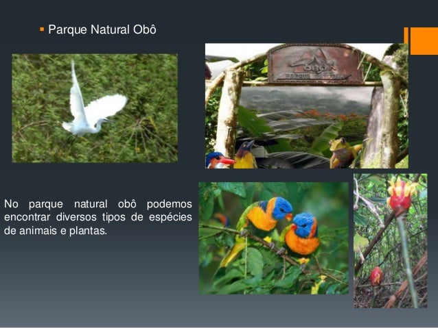 Resultado de imagem para turismo em sao tome e principe