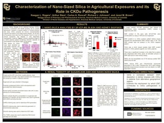 Characterization of Nano-Sized Silica in Agricultural Exposures and its
Role in CKDu Pathogenesis
Keegan L. Rogers1, Arthur Stem1, Carlos A. Roncal2, Richard J. Johnson2, and Jared M. Brown1
1Skaggs School of Pharmacy and Pharmaceutical Sciences, Anschutz Medical Campus, University of Colorado
2Division of Renal Diseases and Hypertension, Anschutz Medical Campus, University of Colorado
BACKGROUND
METHODS
RESULTS SUMMARY
FUNDING SOURCES
R01DK125351
n=3
II. RENAL TOXICITY OF SUGARCANE ASH AND NANO-SIZED SILICA
I. NANO-SILICA ANALYSIS BY SP-ICP-MS IN ASH AND KIDNEY BIOPSIES
Control CKDu
PAS
Darkfield
Figure 1. PAS-stained
histological sections of control
and CKDu patients viewed under
light and darkfield microscopy
REFERENCES
Chronic kidney disease of an unknown etiology (CKDu)
presents a prominent and rapidly growing risk to coastal
agricultural workers in tropical regions in Central America
and Asia. CKDu presents as chronic tubulointerstitial
nephritis that leads to end stage kidney disease. So far tens
of thousands have died from the disease. Due to a lack of
clinical symptoms, the disease is only diagnosed
histologically. However, Figure 1 shows a darkfield image of
a CKDu positive patient containing unknown deposits of
nanomaterial in the tubular region of the kidney.
Risk factors for CKDu
have been identified as
heat stress, exercise, and
dehydration. However, if
these are rescued, CKDu
still progresses. Workers
in these regions are
exposed to ash from
burning crops, like
sugarcane. Sugarcane
Ash (SA) has been shown
to contain a large amount
of amorphous silica
nanoparticles (SiNP). We
hypothesize that exposure
to SiNPs from SA drive
pathogenesis of CKDu
Single particle (SP) inductively coupled plasma- mass
spectrometry (ICP-MS), was used to analyze and characterize
the presence of SiNPs in different matrices.
Human kidney proximal convoluted tubule cells (HK-2) were
cultured for functional assays.
Sodium silicate (Na2SiO3) precipitation on sugarcane ash
followed by a biphasic sol-gel emulsion was used to generate
SAD SiNPs and silica-free ash.
Vimentin staining was used to determine EMT state.
FUTURE DIRECTIONS
A single particle ICP-MS approach was utilized to
characterize silica nanoparticle (SiNP) content in
sugarcane ash (SA).
SiNP content in SA seen with SP-ICP-MS were
corroborated by using a TEM and DLS approach.
SiNP content in a CKDu positive patient kidney biopsy
matched the representative SiNP content seen in SA. The
SiNP content was not present in the CKDu negative
patient.
There was a trend toward greater total SiNP content
present in CKDu patients against non-CKDu patients.
There was a significant increase in the odds that a patient
was diagnosed with CKDu given an elevated amount of
SiNP was found in their kidney biopsy.
SiNPs can be precipitated out of SA leaving purified SAD
SiNPS and DS ash.
SiNPs induce ROS and mitochondrial superoxide
generation in HK-2 cells. Following this, HK-2 cells undergo
epithelial-mesenchymal transition and cell death in a SiNP
dependent manner.
• Verify a correlation between SiNP
deposition in kidney biopsies with CKDu
in patients from alternative geographical
regions.
• Examine the mechanism by which EMT
contributes to CKDu pathogenesis in
vivo.
Correa-Rotter, R., Wesseling, C. & Johnson, R. J. CKD of Unknown Origin in
Central America: The Case for a Mesoamerican Nephropathy. Am. J. Kidney
Dis. 63, 506–520 (2014).
Jayasekara, K. B. et al. Relevance of heat stress and dehydration to chronic
kidney disease (CKDu) in Sri Lanka. Prev. Med. Rep. 15, 100928 (2019).
Rovani, S., Santos, J. J., Corio, P. & Fungaro, D. A. Highly Pure Silica
Nanoparticles with High Adsorption Capacity Obtained from Sugarcane
Waste Ash. ACS Omega 3, 2618–2627 (2018).
0 200 400 600 800
0
2
4
6
8
10
Diameter (nm)
Frequency
Representative SiNP Population
in Sugarcane Ash
0 200 400 600 800
0
1
2
3
4
5
Diameter (nm)
Frequency
CKDu Positive Tissue Sample
0.054 Particles/μm3
Most Frequent Size:
193 nm
0 200 400 600 800
0
1
2
3
4
5
Diameter (nm)
Frequency
CKDu Negative Tissue Sample
0.006 Particles/μm3
Most Frequent Size:
Below LLODd
Average Size: 212 nm
CKD CKDu
0
5
10
15
20
Diagnosis Against
Particle Threshold
Number
of
Cases
Not Reached
Reached
OR: 7.8 (1.079 - 43.75)
p = 0.0384
CKD CKDu
0.00
0.01
0.02
0.03
0.04
0.05
190-230nm
SiNPs/
mm
3
Tissue
Diagnosis Against
SiNP Content
p = 0.054
A.
B. C.
A. B.
Figure 3. (Left) A)
Frequency histogram of the
size distribution of SiNP
content in sugarcane ash. B)
SiNP content in a CKDu
biopsy patient C) SiNP
contentbiopsy in a CKDu
negative patient. Black lines
represent individual detected
nanoparticle sizes and red
line represents a gaussian
non-linear distribution of the
frequency histogram.
Figure 4. (Above) A) Amount of detected SiNPs between 190
and 230 nm in CKD patients (n=18) and CKDu patients (n=8).
Error bars represent one standard deviation on either side of
the mean. B) Contingency graph displaying proportion of CKD
and CKDu patients reaching an elevated SiNP threshold in their
kidney biopsy where red represents patients reaching the
elevated SiNP threshold and black represents patients who do
not reach the elevated SiNP threshold. OR represents the odds
ratio of a patient being diagnosed with CKDu as a function of
reaching the elevated SiNP threshold in their kidney biopsy.
Values in parenthesis are the 95% CI. p < 0.05 represents a
significant result.
CellRox staining was used to determine ROS generation.
Sugarcane
ash
Silica-free
ash
Sugarcane ash
derived silica
nanoparticles
200nm silica
nanoparticles
CellROX MitoSOX Vimentin TUNEL
Figure 5. (Left) Microscopic analyses
to examine toxicological effects of
different SiNP and ash treatments on
human kidney proximal convoluted
tubule cells (HK-2 cells). Assays from
left to right are a CellROX assay for
ROS, a MitoSOX assay for
mitochondrial superoxide generation, a
vimentin stain to determine epithelial
mesenchymal transition state and a
TUNEL assay to determine cell death.
Cells were fixed with 4%
paraformaldehyde in PBS and
permeabilized in 0.2% Triton X-100 in
PBS and counterstained with 1μg/mL
DAPI.
T32ES029074
MitoSOX staining was used to determine generation of
mitochondrial superoxide.
The TUNEL assay was used to determine DNA strand
damage and cell death.
Sugarcane ash was collected in Nicaragua.
Pristinely synthesized 200nm silica nanoparticles were
purchased from NanoComposix.
 