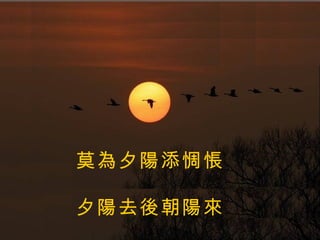 莫為夕陽添惆悵 夕陽去後朝陽來 