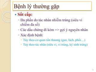  Sốt cấp:
◦ Đa phần do tác nhân nhiễm trùng (siêu vi
chiếm đa số)
◦ Các dấu chứng đi kèm => gợi ý nguyên nhân
◦ Xác định bệnh:
 Tùy theo cơ quan tổn thương (gan, lách, phổi…)
 Tùy theo tác nhân (siêu vi, vi trùng, ký sinh trùng)
Bệnh lý thường gặp
12
 
