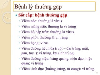  Sốt cấp: bệnh thường gặp
◦ Viêm não: thường là virus
◦ Viêm màng não: thường là vi trùng
◦ Viêm hô hấp trên: thường là virus
◦ Viêm phổi: thường là vi trùng
◦ Viêm họng: virus
◦ Viêm đường tiêu hóa (ruột – đại tràng, mật,
gan, tụy..): vi trùng, ký sinh trùng
◦ Viêm đường niệu: bàng quang, niệu đạo, niệu
quản: vi trùng
◦ Viêm sinh dục (buồng trứng, tử cung): vi trùng
Bệnh lý thường gặp
13
 