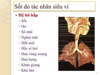  Hệ hô hấp
◦ Sốt
◦ Ho
◦ Sổ mũi
◦ Nghẹt mũi
◦ Mất mùi
◦ Hắc xì hơi
◦ Đau vùng xoang
◦ Đau họng
◦ Khàn giọng
◦ Khó thở
Sốt do tác nhân siêu vi
21
 