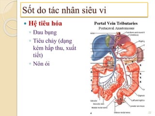  Hệ tiêu hóa
◦ Đau bụng
◦ Tiêu chảy (dạng
kém hấp thu, xuất
tiết)
◦ Nôn ói
Sốt do tác nhân siêu vi
22
 