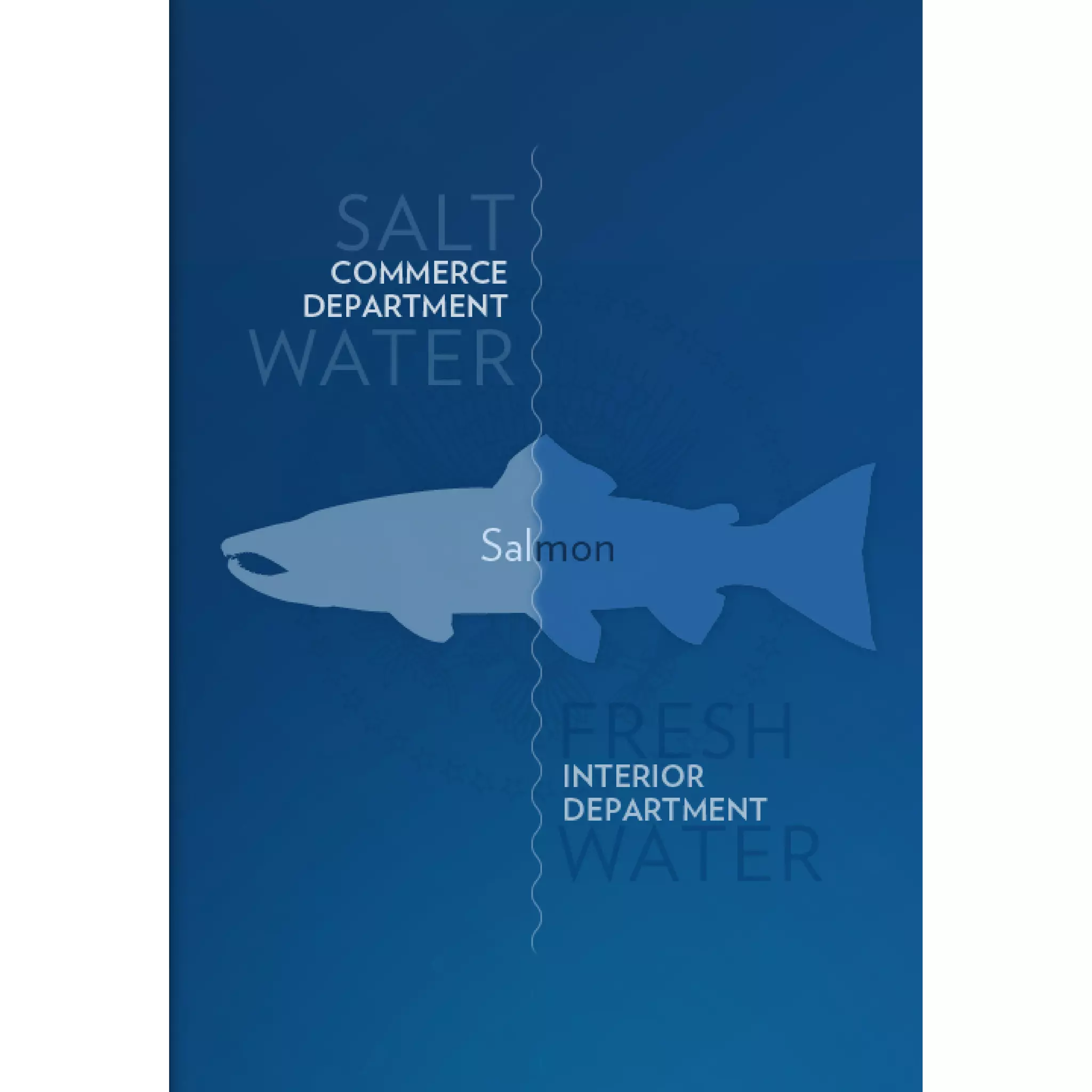 2011 Enhanced State of the Union Address Graphics