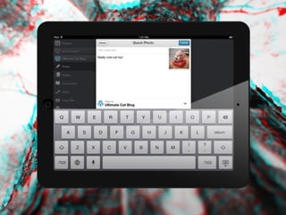 2012
WORDPRESS SURVEY
    RESULTS
 