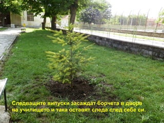 Следващите випуски засаждат борчета в двора 
на училището и така оставят следа след себе си. 
 