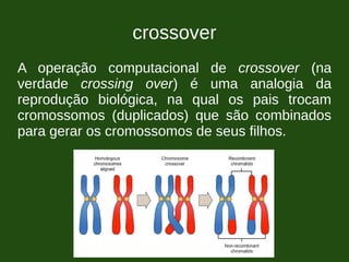 crossover
A operação computacional de crossover (na
verdade crossing over) é uma analogia da
reprodução biológica, na qual os pais trocam
cromossomos (duplicados) que são combinados
para gerar os cromossomos de seus filhos.
 