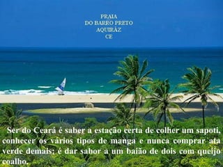 Ser do Ceará é saber a estação certa de colher um sapoti,
conhecer os vários tipos de manga e nunca comprar ata
verde demais; é dar sabor a um baião de dois com queijo
coalho.
 