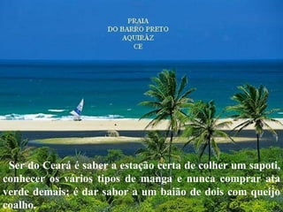 Ser do Ceará é saber a estação certa de colher um sapoti, conhecer os vários tipos de manga e nunca comprar ata verde demais; é dar sabor a um baião de dois com queijo coalho. 