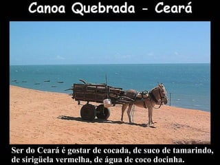 Ser do Ceará é gostar de cocada, de suco de tamarindo,  de sirigüela vermelha, de água de coco docinha. 