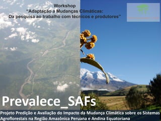 Workshop
           “Adaptação a Mudanças Climáticas:
    Da pesquisa ao trabalho com técnicos e produtores”




Prevalece_SAFs
Projeto Predição e Avaliação do Impacto da Mudança Climática sobre os Sistemas
Agroflorestais na Região Amazônica Peruana e Andina Equatoriana
 