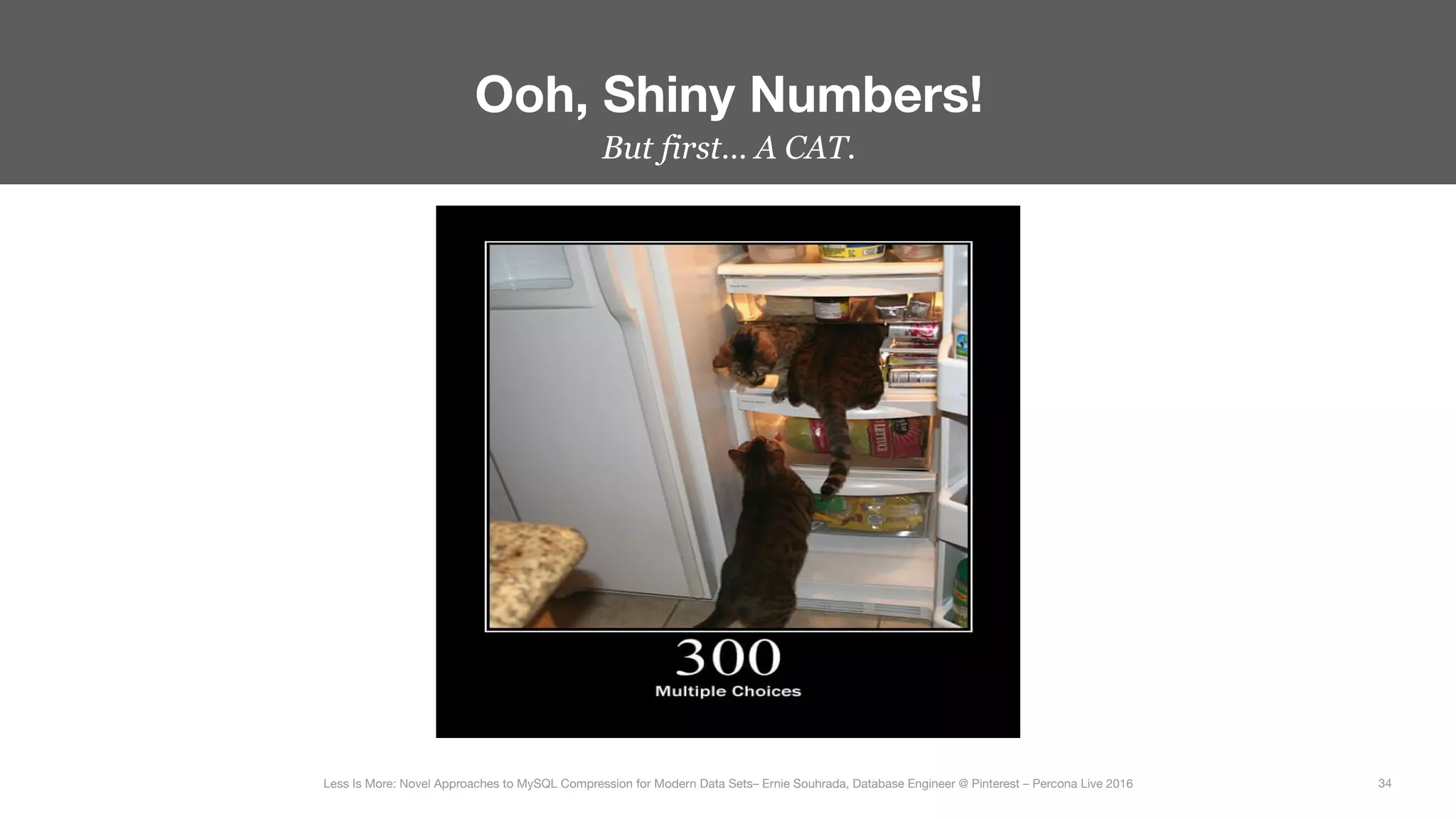 But first… A CAT.
Ooh, Shiny Numbers!
34
Less Is More: Novel Approaches to MySQL Compression for Modern Data Sets– Ernie Souhrada, Database Engineer @ Pinterest – Percona Live 2016 
 