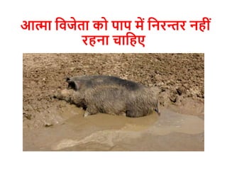 आत्मा दवजेता को पाप में दनरन्तर नहीों
रहना चादहए
 