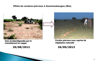 Expériences CEP dans le cadre du projet "Intégration de la résilience climatique dans la production agricole pour la sécurité alimentaire en milieu rural au Mali"