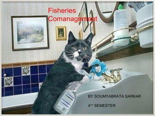 Fisheries
Comanagement




         BY SOUMYABRATA SARKAR

         4TH SEMESTER
 