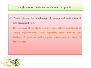 Drought stress resistance mechanism in plants
 Plants optimize the morphology, physiology and metabolism of
their organs and cells.
 The reactions of the plants to water stress differs significantly at
various organizational levels depending upon intensity and
duration of stress as well as plant species and its stage of
development
 