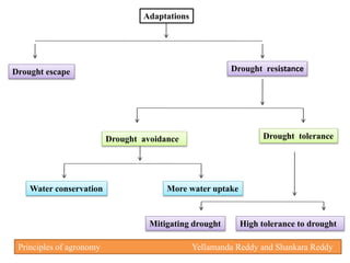 Adaptations
Drought escape Drought resistance
Drought toleranceDrought avoidance
Water conservation More water uptake
Mitigating drought High tolerance to drought
Principles of agronomy Yellamanda Reddy and Shankara Reddy
 