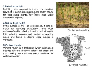3.Saw dust mulch:
Mulching with sawdust is a common practice.
Sawdust is acidic, making it a good mulch choice
for acid-loving plants.They have high water
absorption capacity.
4.Soil or Dust mulch:
If the surface of the soil is loosened, it acts as
mulch for reducing evaporation. This loose
surface of soil is called soil mulch or dust mulch.
Inter-culturing creates soil mulch in growing
crops and helps in closing deep cracks in
Vertisols.
5.Vertical mulch:
Vertical mulch is a technique which consists of
digging suitable trenches across the slope and
thus making more surface are a available for
water absorption.
Fig. Vertical mulching
Fig. Saw dust mulching
 