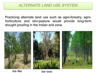 ALTERNATE LAND USE SYSTEM
Practicing alternate land use such as agro-forestry, agro-
horticulture and silvi-pasture would provide long-term
drought proofing in the Indian arid zone.
 