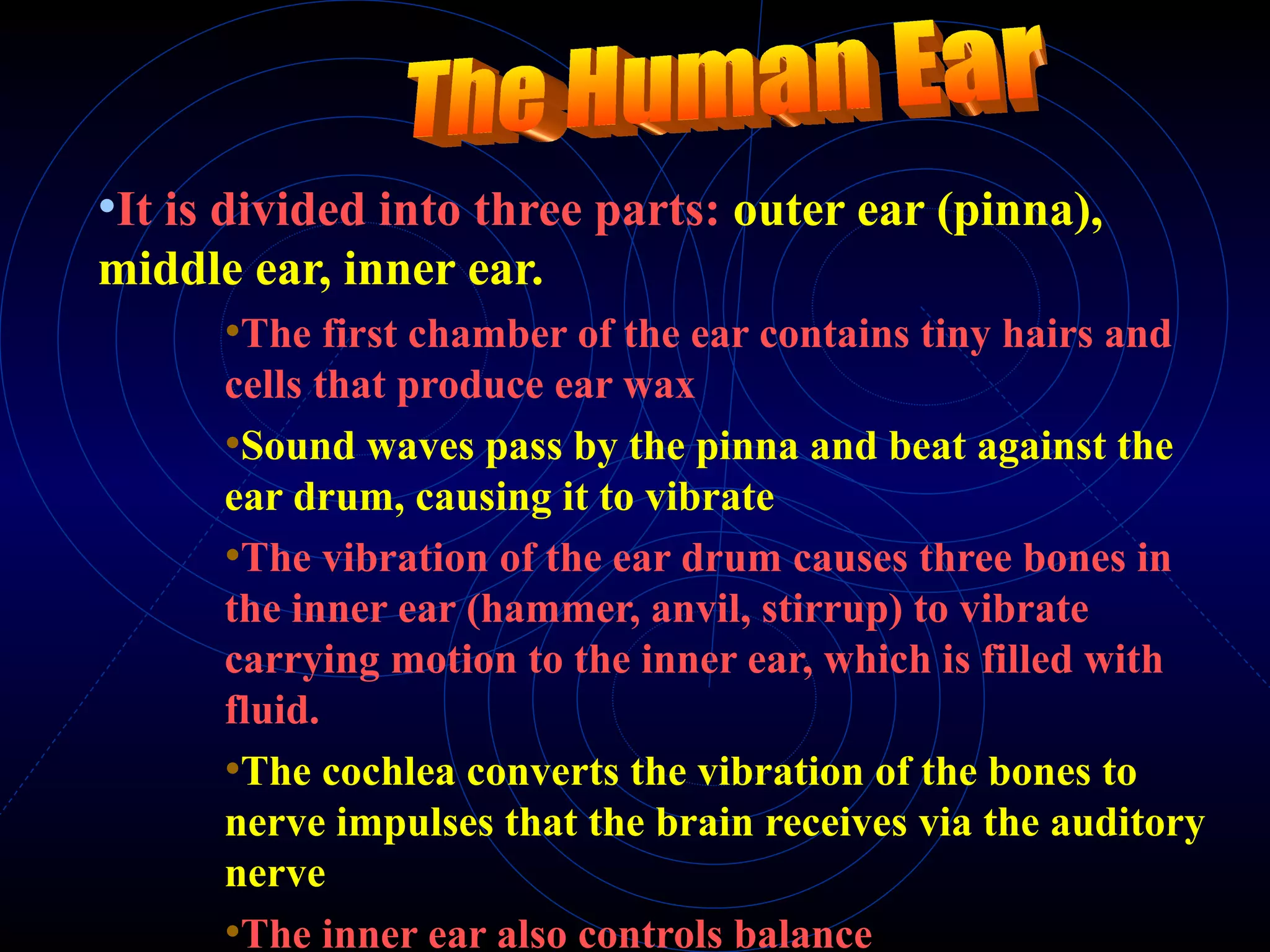 It is divided into three parts:  outer ear (pinna), middle ear, inner ear. The first chamber of the ear contains tiny hairs and cells that produce ear wax Sound waves pass by the pinna and beat against the ear drum, causing it to vibrate The vibration of the ear drum causes three bones in the inner ear (hammer, anvil, stirrup) to vibrate carrying motion to the inner ear, which is filled with fluid. The cochlea converts the vibration of the bones to nerve impulses that the brain receives via the auditory nerve The inner ear also controls balance The Human Ear 