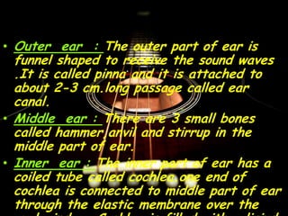 PARTS OF EAR…
• Outer ear : The outer part of ear is
funnel shaped to receive the sound waves
.It is called pinna and it is attached to
about 2-3 cm.long passage called ear
canal.
• Middle ear : There are 3 small bones
called hammer,anvil and stirrup in the
middle part of ear.
• Inner ear : The inner part of ear has a
coiled tube called cochlea.one end of
cochlea is connected to middle part of ear
through the elastic membrane over the
 