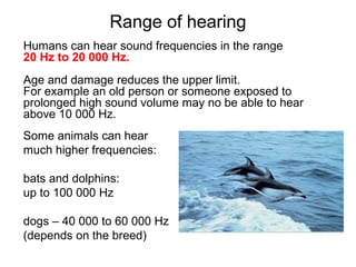 Range of hearing
Humans can hear sound frequencies in the range
20 Hz to 20 000 Hz.
Age and damage reduces the upper limit.
For example an old person or someone exposed to
prolonged high sound volume may no be able to hear
above 10 000 Hz.
Some animals can hear
much higher frequencies:
bats and dolphins:
up to 100 000 Hz
dogs – 40 000 to 60 000 Hz
(depends on the breed)
 