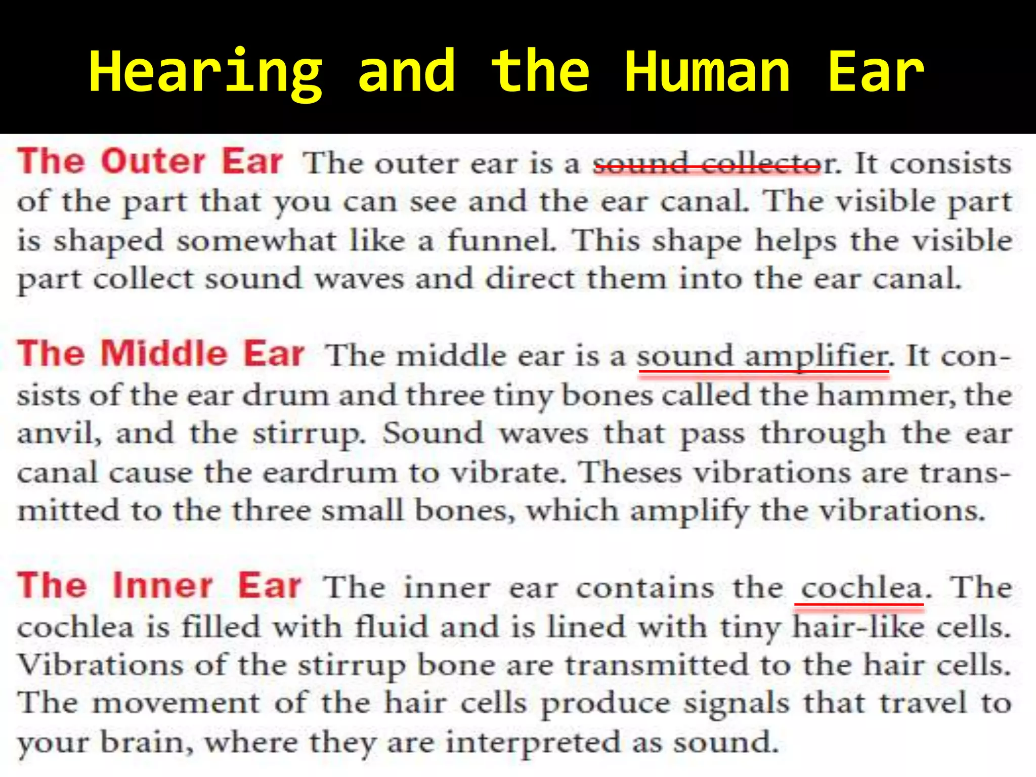 Hearing and the Human Ear