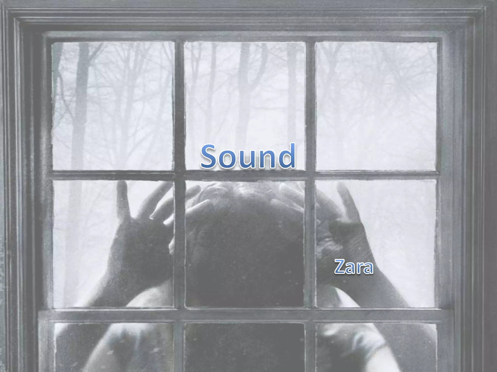 Sound in blair witch project | PPT