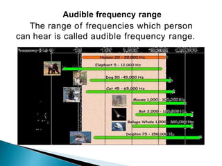Audible frequency range
The range of frequencies which person
can hear is called audible frequency range.
 
