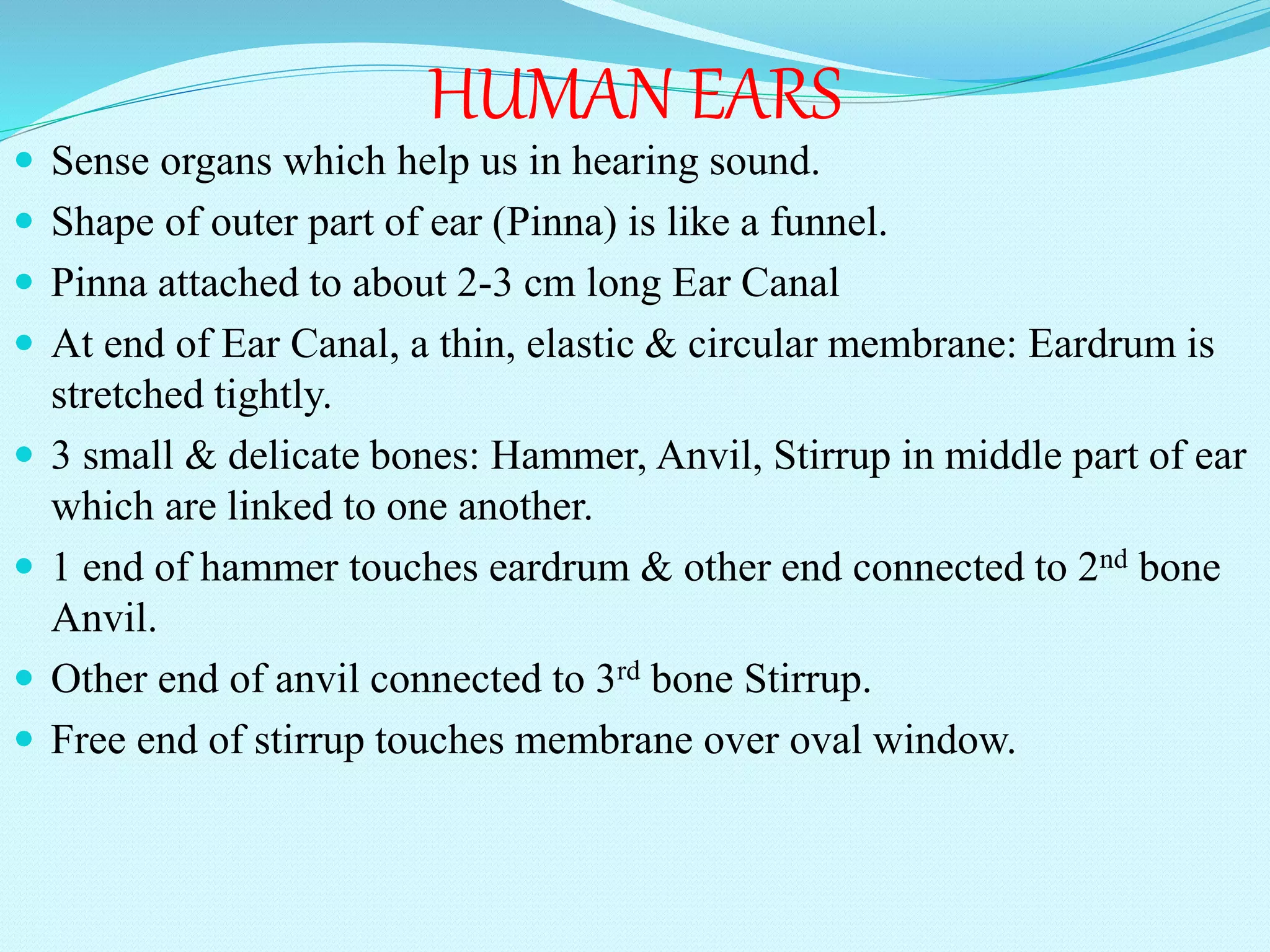 HUMAN EARS
 Sense organs which help us in hearing sound.
 Shape of outer part of ear (Pinna) is like a funnel.
 Pinna attached to about 2-3 cm long Ear Canal
 At end of Ear Canal, a thin, elastic & circular membrane: Eardrum is
stretched tightly.
 3 small & delicate bones: Hammer, Anvil, Stirrup in middle part of ear
which are linked to one another.
 1 end of hammer touches eardrum & other end connected to 2nd bone
Anvil.
 Other end of anvil connected to 3rd bone Stirrup.
 Free end of stirrup touches membrane over oval window.
 