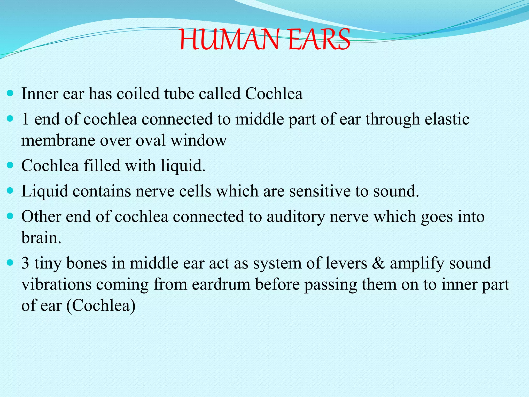  Inner ear has coiled tube called Cochlea
 1 end of cochlea connected to middle part of ear through elastic
membrane over oval window
 Cochlea filled with liquid.
 Liquid contains nerve cells which are sensitive to sound.
 Other end of cochlea connected to auditory nerve which goes into
brain.
 3 tiny bones in middle ear act as system of levers & amplify sound
vibrations coming from eardrum before passing them on to inner part
of ear (Cochlea)
HUMAN EARS
 