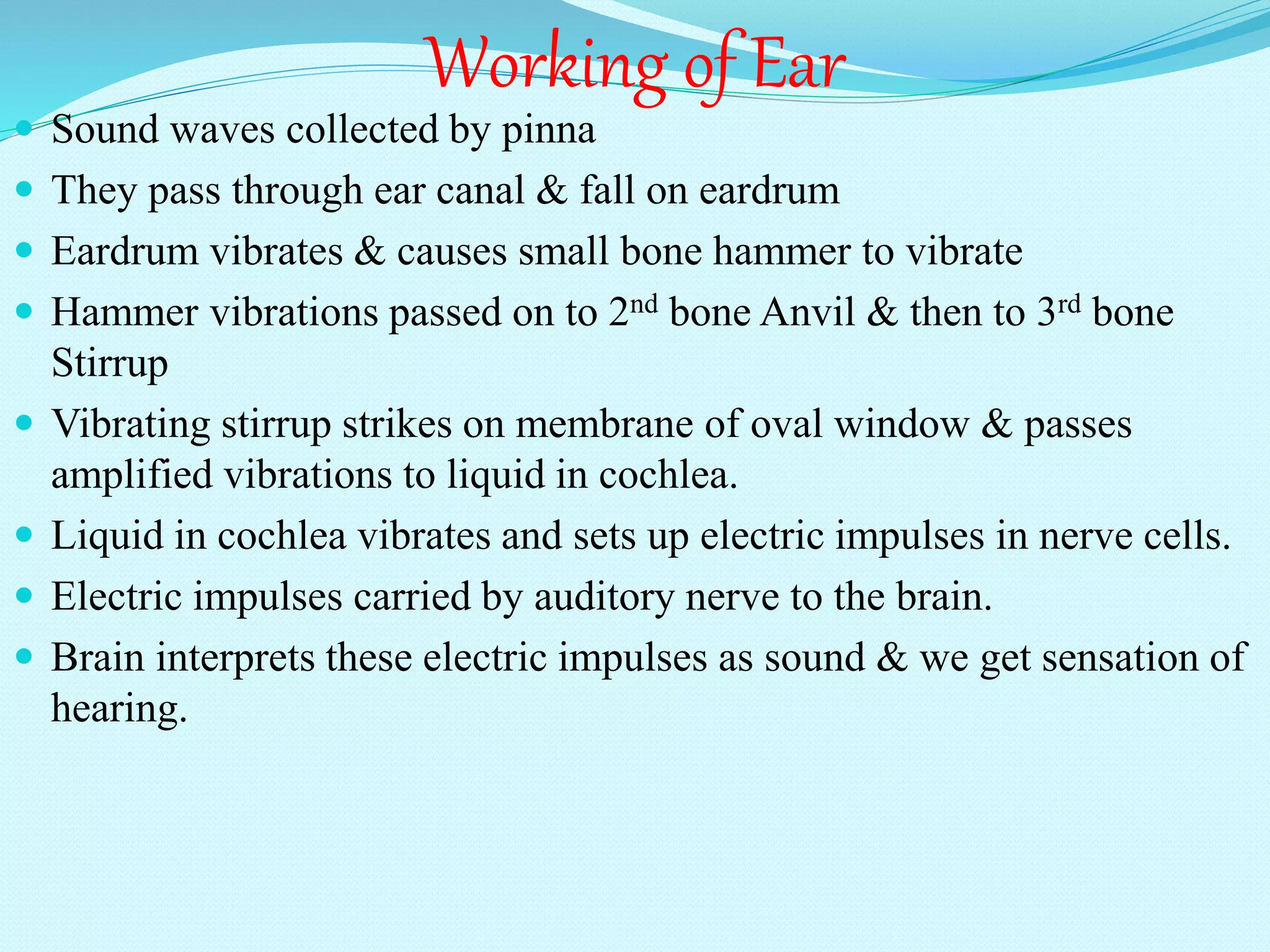 Working of Ear
 Sound waves collected by pinna
 They pass through ear canal & fall on eardrum
 Eardrum vibrates & causes small bone hammer to vibrate
 Hammer vibrations passed on to 2nd bone Anvil & then to 3rd bone
Stirrup
 Vibrating stirrup strikes on membrane of oval window & passes
amplified vibrations to liquid in cochlea.
 Liquid in cochlea vibrates and sets up electric impulses in nerve cells.
 Electric impulses carried by auditory nerve to the brain.
 Brain interprets these electric impulses as sound & we get sensation of
hearing.
 
