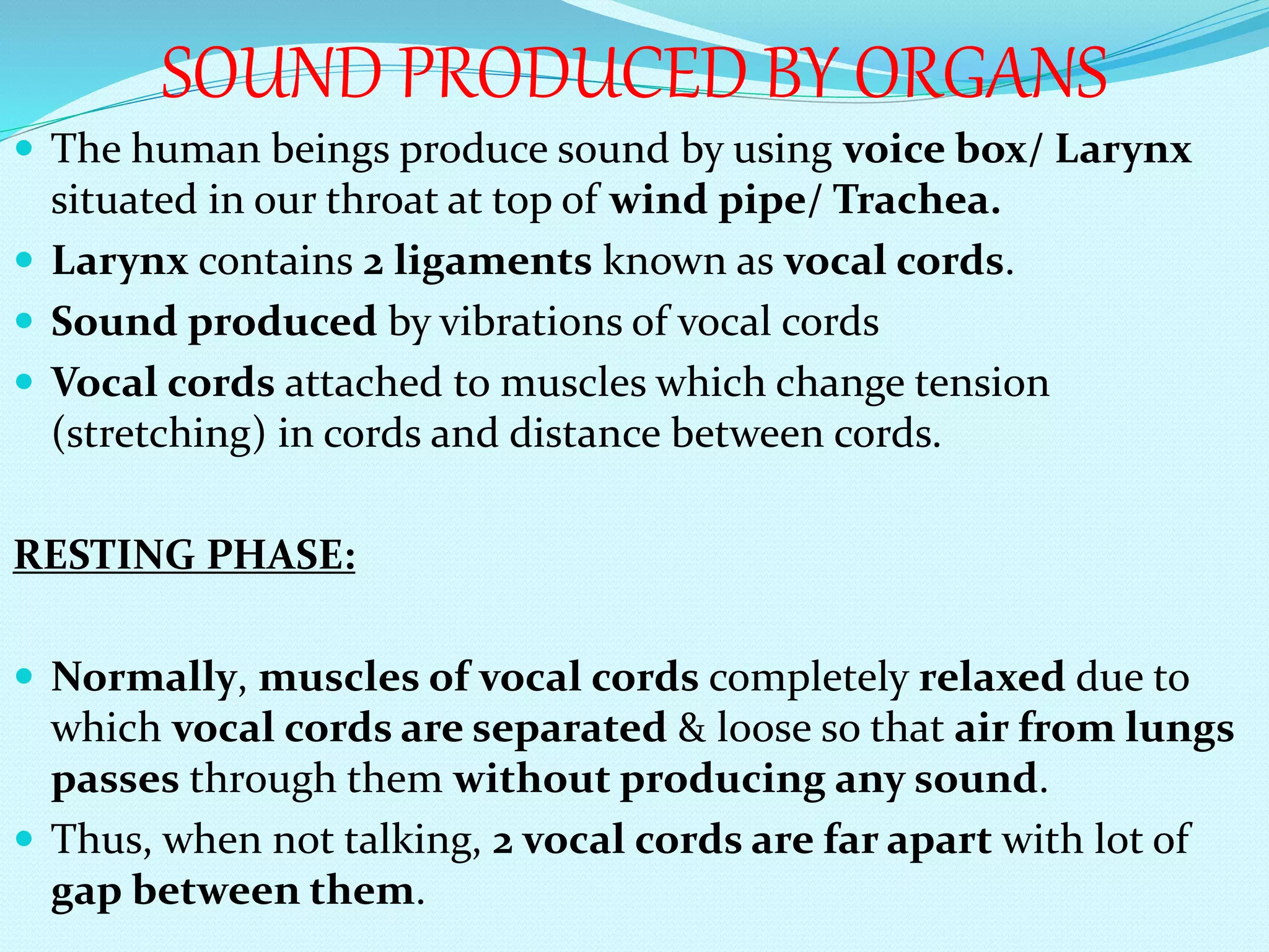 SOUND PRODUCED BY ORGANS
 The human beings produce sound by using voice box/ Larynx
situated in our throat at top of wind pipe/ Trachea.
 Larynx contains 2 ligaments known as vocal cords.
 Sound produced by vibrations of vocal cords
 Vocal cords attached to muscles which change tension
(stretching) in cords and distance between cords.
RESTING PHASE:
 Normally, muscles of vocal cords completely relaxed due to
which vocal cords are separated & loose so that air from lungs
passes through them without producing any sound.
 Thus, when not talking, 2 vocal cords are far apart with lot of
gap between them.
 