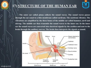 17) STRUCTURE OF THE HUMAN EAR
The outer ear called pinna collects the sound waves. The sound waves passes
through the ear canal to a thin membrane called eardrum. The eardrum vibrates. The
vibrations are amplified by the three bones of the middle ear called hammer, anvil and
stirrup. The middle ear then transmits the sound waves to the inner ear. In the inner
ear the sound waves are converted into electrical signals by the cochlea and sent to the
brain through the auditory nerves. The brain then interprets the signals as sound.
snkb@nasc2020
 