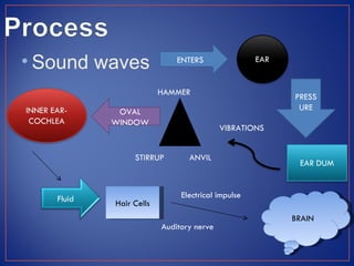 • Sound waves               ENTERS


                        HAMMER
                                                      PRESS
            OVAL                                       URE
           WINDOW
                                         VIBRATIONS


                STIRRUP        ANVIL



   Fluid                     Electrical impulse
           Hair Cells
                                                      BRAIN
                        Auditory nerve
 